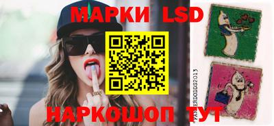 гидропоника Краснокаменск