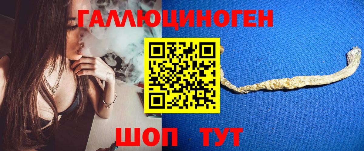 Псилоцибиновые грибы Psilocybine cubensis Кемерово