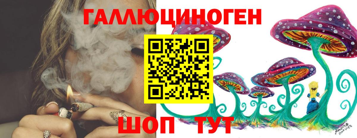 Псилоцибиновые грибы мицелий  Вход с VPN  Кемерово  Галлюциногенные грибы Psilocybe 